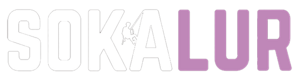 Sokalur logo